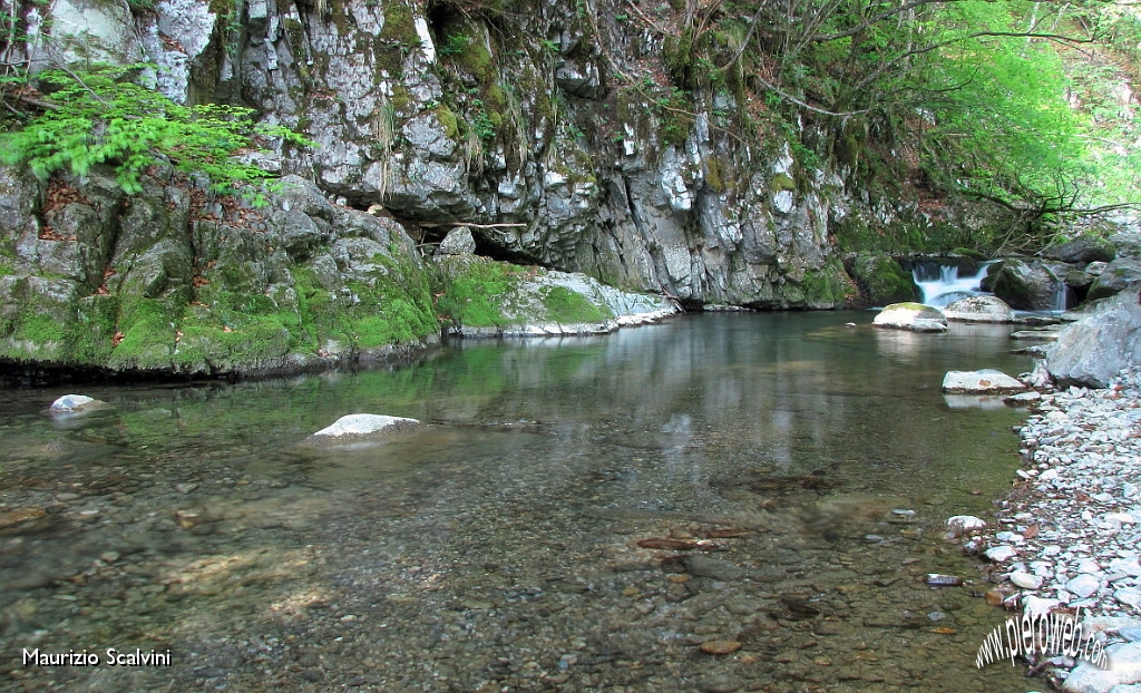 22 Spesso e volentieri scendo in riva al torrente.....JPG